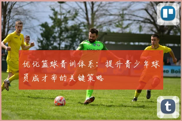 优化篮球青训体系：提升青少年球员成才率的关键策略