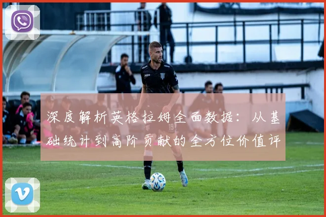 深度解析英格拉姆全面数据:从基础统计到高阶贡献的全方位价值评估